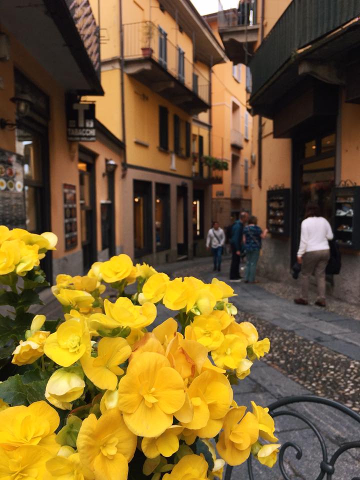 18620017_10154346421602038_5365746311547993721_n