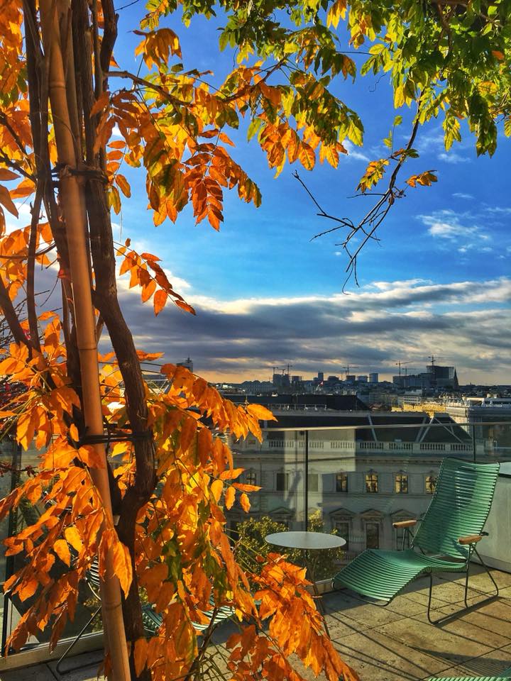 22405844_10154737557712038_8897156367839536709_n