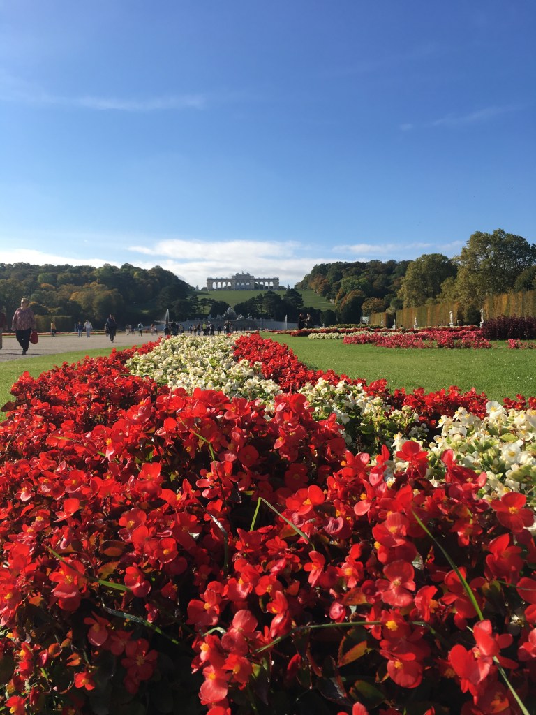 95A0A6ED-5305-4BCF-8041-01E06C8E78A5